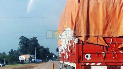 Transporte sin encarpado de algodón y ausencia de controles en rutas: errores que no deben repetirse