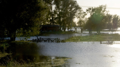 El centro chaqueño en emergencia agropecuaria