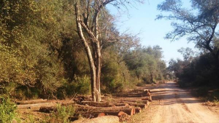 paraje.jpg