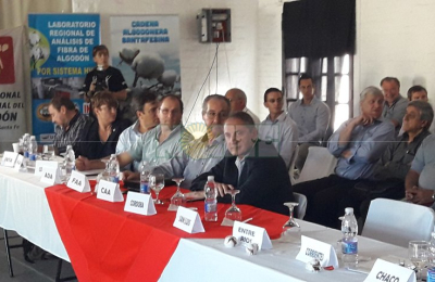 Las nuevas variedades del INTA impactaron en la Mesa Algodonera Nacional en Avellaneda
