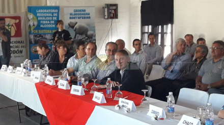 mesa algodonera.jpg