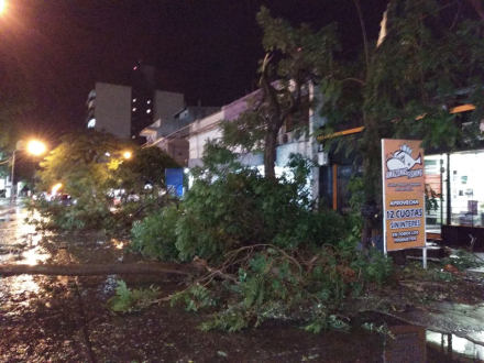 tormenta 1.jpg