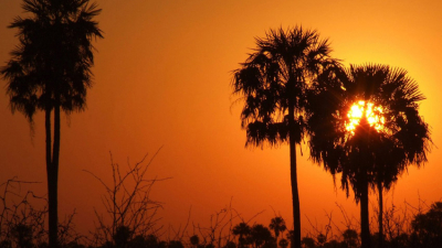 El Parque Nacional Chaco, una propuesta para disfrutar en otoño