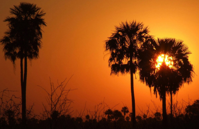 El Parque Nacional Chaco, una propuesta para disfrutar en otoño