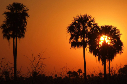PARQUE-NACIONAL.jpg