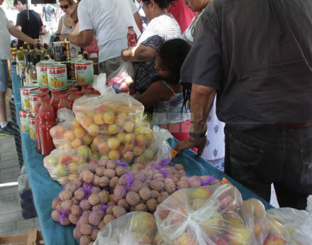 fruta.jpg