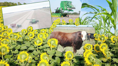 Nuevos vientos surcan el campo