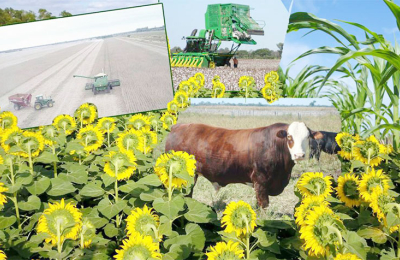 Nuevos vientos surcan el campo