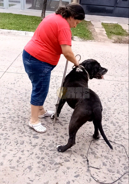 RottweilerYDueña.jpg