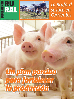 Un plan porcino para fortalecer la producción