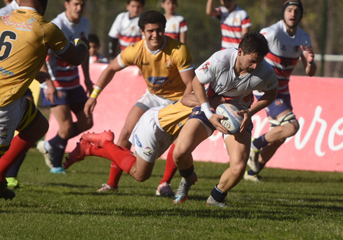 Curne-Maristas.jpg