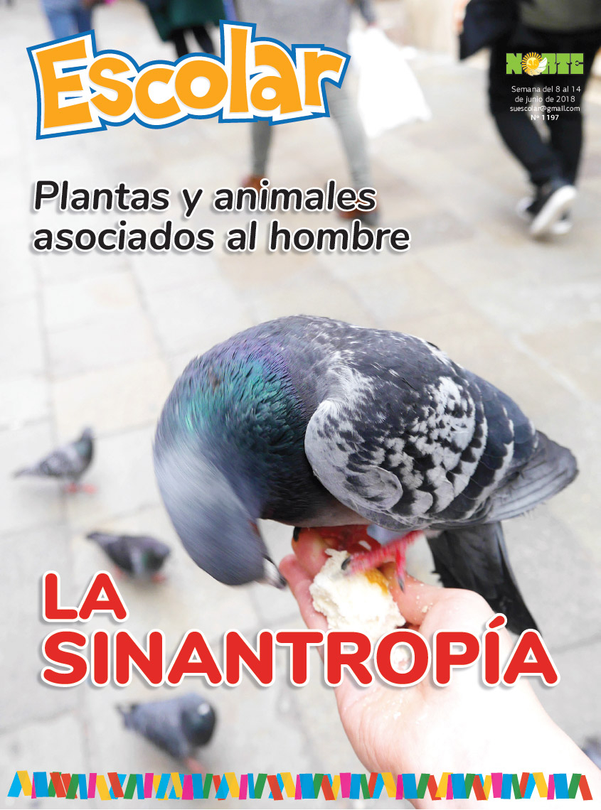 La sinatropía
