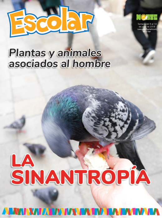 La sinatropía