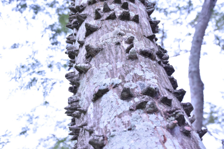parque2.jpg
