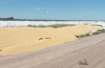 El robo de soja y maíz acopiados genera alerta en productores