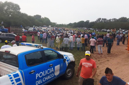 cuadreras.jpg