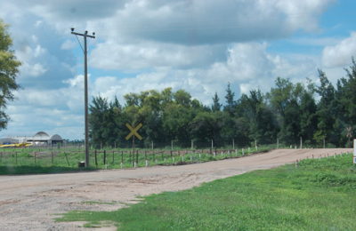 Primera exportación desde Salta de fibra de algodón a Brasil