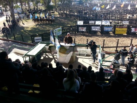 Sociedad Rural Exposicion.jpg