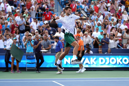 djoko.jpg