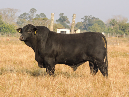 rural5.jpg