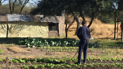 Organizaciones rurales repudian despidos en Agricultura Familiar