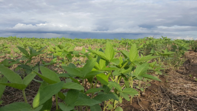 Para los productores la vuelta de las retenciones es una medida “anti interior”