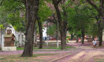 escolar2.jpg