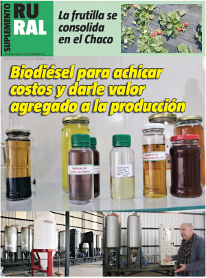 Biodiésel para achicar costos y darle valor agregado a la producción