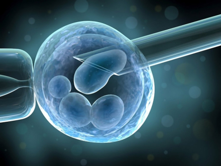 inseminacion.jpg