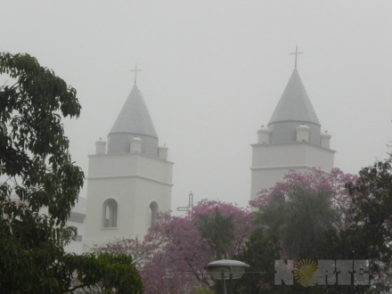 niebla2.jpg