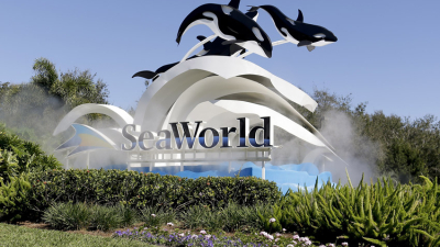 Ordenan a SeaWorld a pagar u$s 5 millones por engañar a sus inversores
