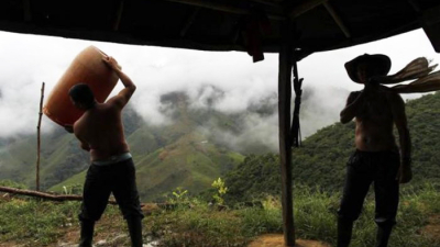 Colombia: los narcocultivos marcan récord histórico