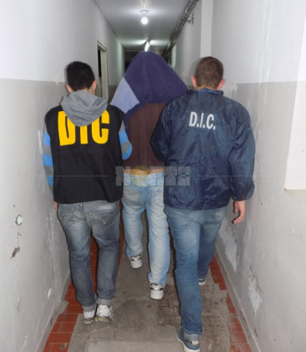 violad.jpg