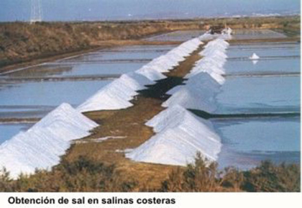 escolar4.jpg