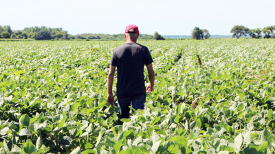 Trump al rescate de productores de soja: pagará 60 dólares la tonelada