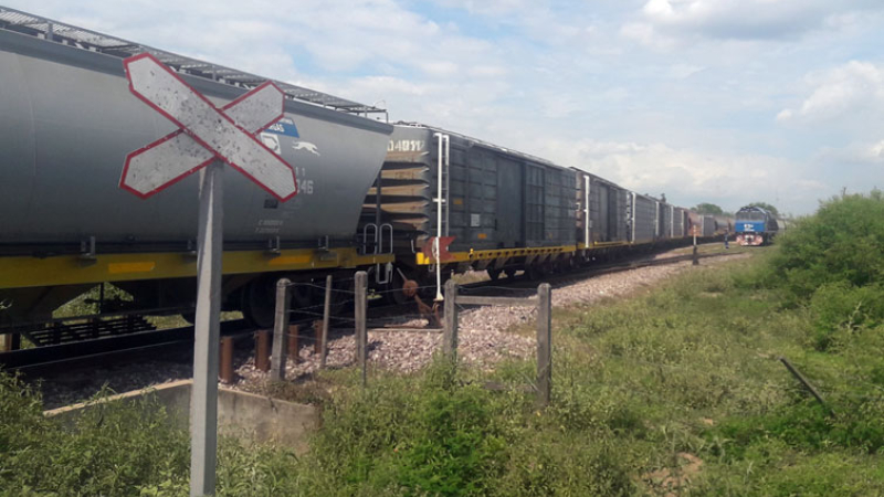 Belgrano Cargas: fuerte contraste entre el ramal de grandes acopios y el que va a Barranqueras