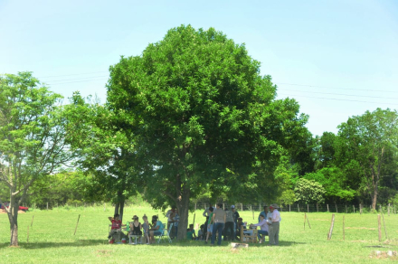 05.jpg