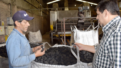 Briquetas de carbón vegetal, de Sáenz Peña para el mundo