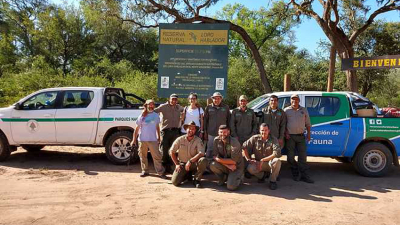 Registran presencia de un yaguareté en El Impenetrable