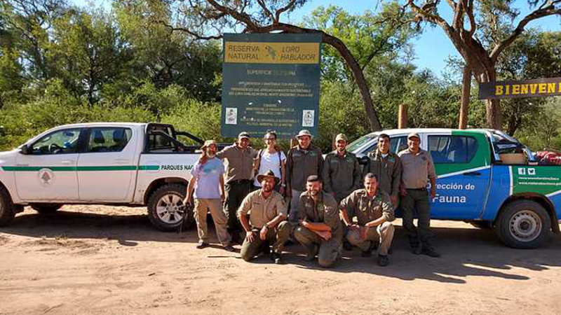 Registran presencia de un yaguareté en El Impenetrable