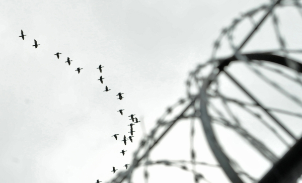 Libertad. Foto: Marcelo "Sapo" Cáceres
