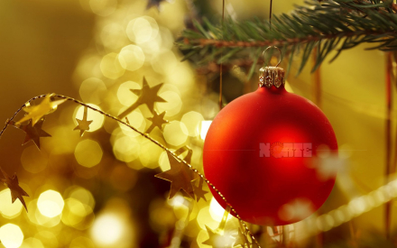 Navidad.jpg