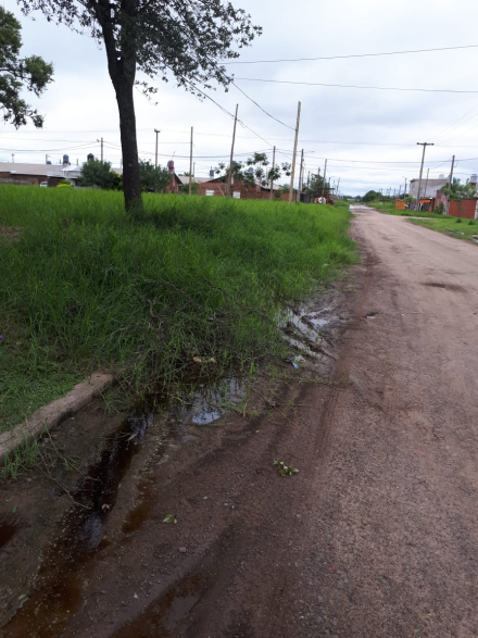 barrio.jpg