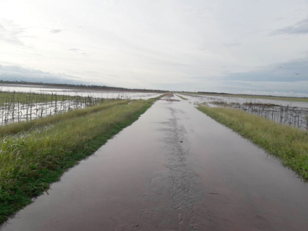 58CAMINO-RURAL-DE-CHARATA-A.jpg