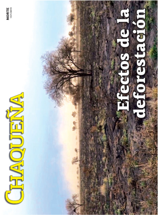 Efectos de la deforestación