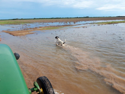 58AGUA-EN-PINEDO.jpg