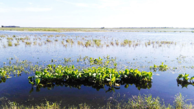 El Departamento Chacabuco a punto de ser declarado en emergencia agropecuaria