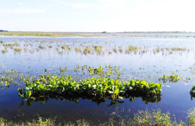 El Departamento Chacabuco a punto de ser declarado en emergencia agropecuaria