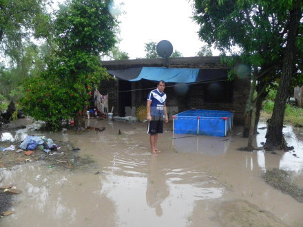 Villa Forestacion.JPG