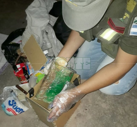cocaina desde salta1.jpg